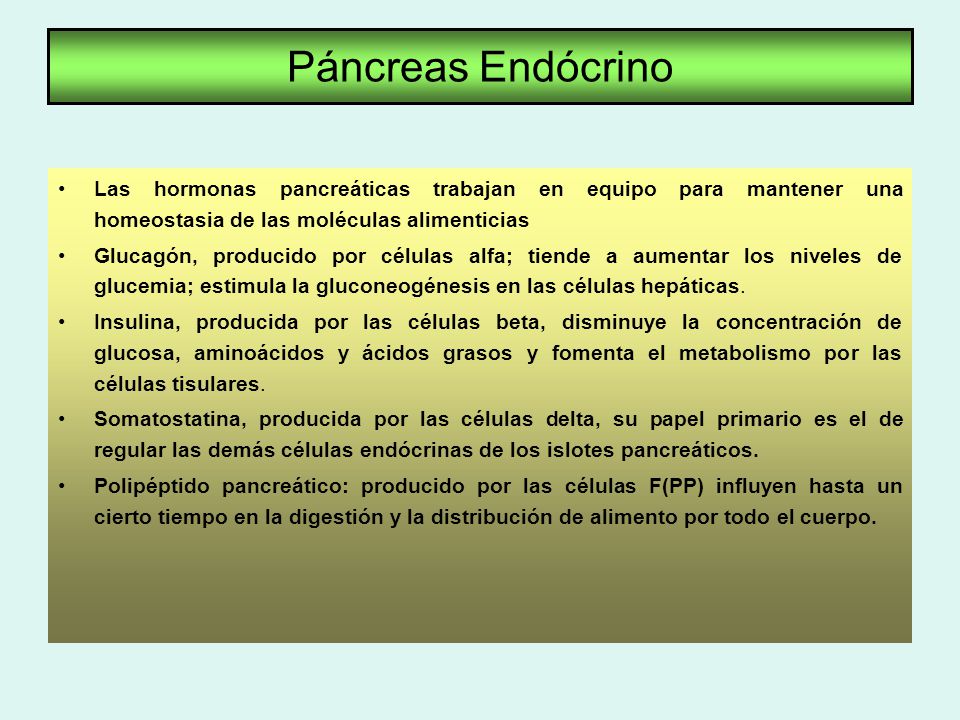 Páncreas Endócrino Las hormonas pancreáticas trabajan en equipo para mantener una homeostasia de las moléculas alimenticias.