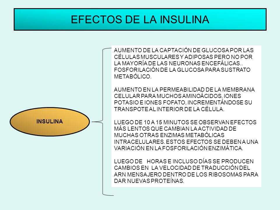 EFECTOS DE LA INSULINA AUMENTO DE LA CAPTACIÓN DE GLUCOSA POR LAS
