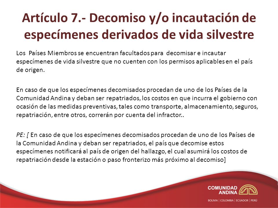 Artículo 7.- Decomiso y/o incautación de especímenes derivados de vida silvestre