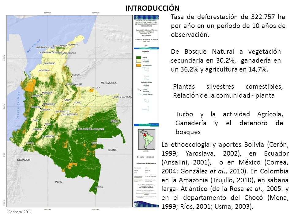 INTRODUCCIÓN Tasa de deforestación de ha por año en un periodo de 10 años de observación.