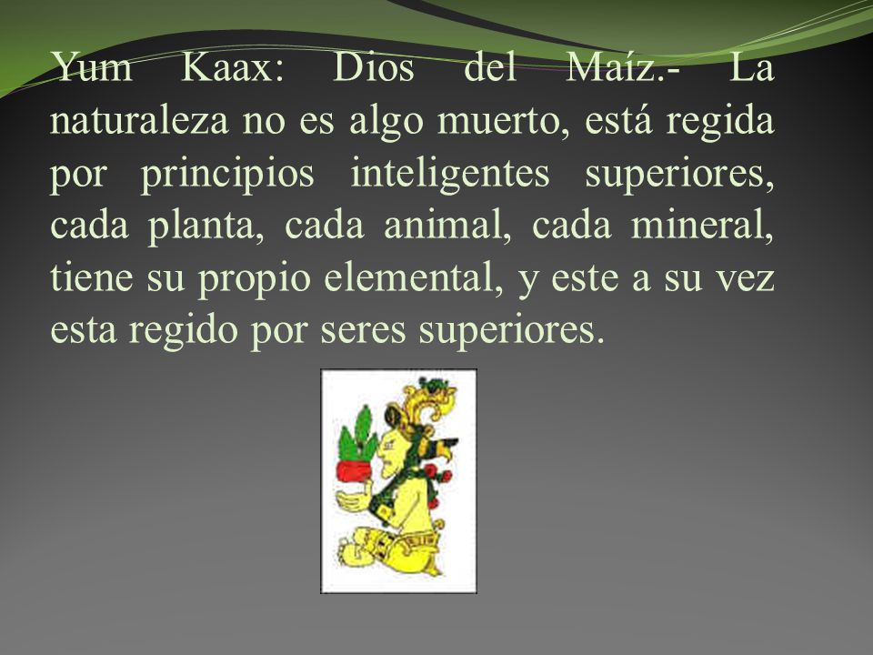 Yum Kaax: Dios del Maíz.- La naturaleza no es algo muerto, está regida por principios inteligentes superiores, cada planta, cada animal, cada mineral, tiene su propio elemental, y este a su vez esta regido por seres superiores.