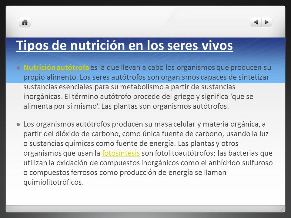 Tipos de nutrición en los seres vivos