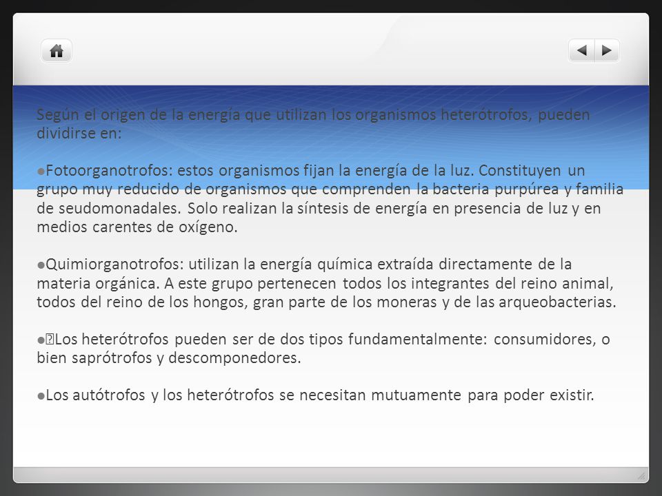 Según el origen de la energía que utilizan los organismos heterótrofos, pueden dividirse en: