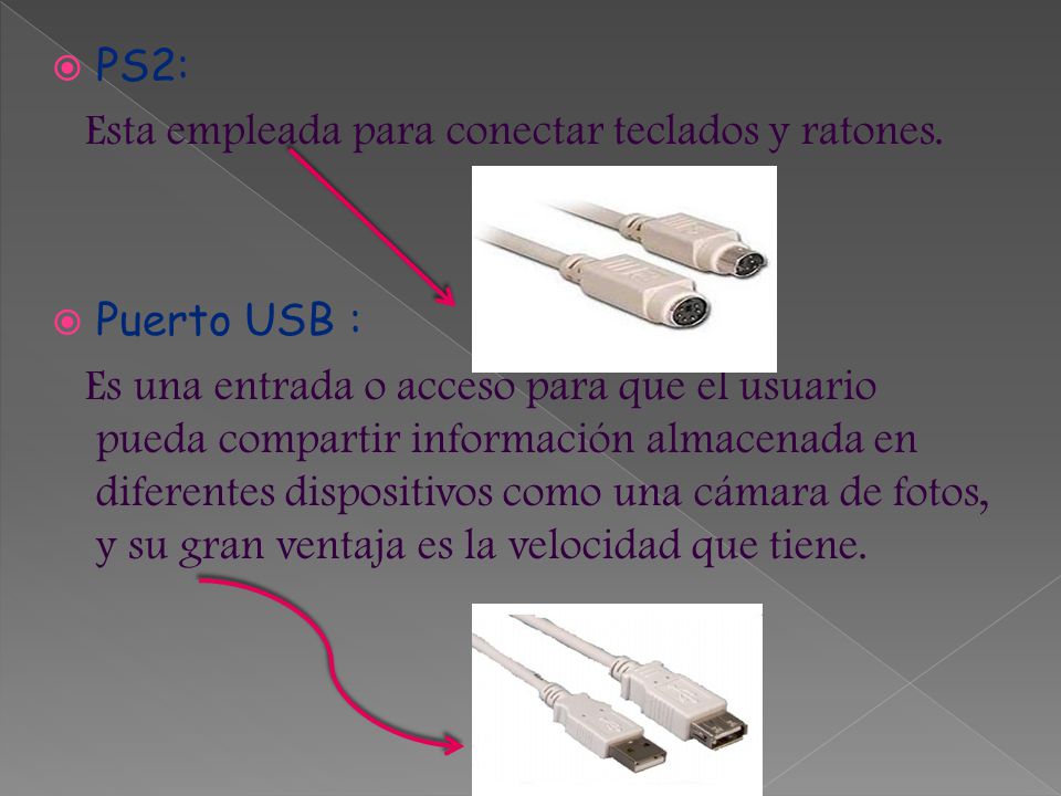 PS2: Esta empleada para conectar teclados y ratones. Puerto USB :
