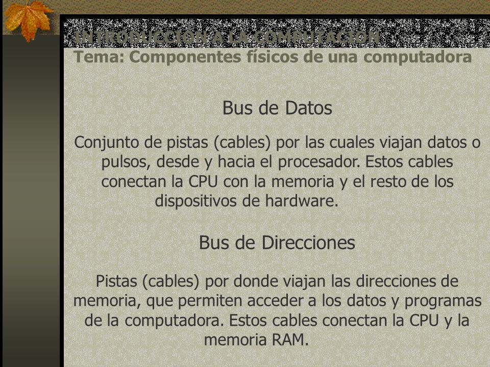 Bus de Datos Bus de Direcciones INTRODUCCIÓN A LA COMPUTACIÓN