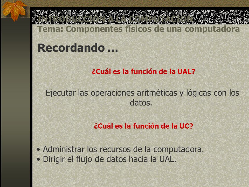 ¿Cuál es la función de la UAL ¿Cuál es la función de la UC