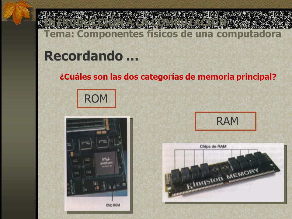 ¿Cuáles son las dos categorías de memoria principal