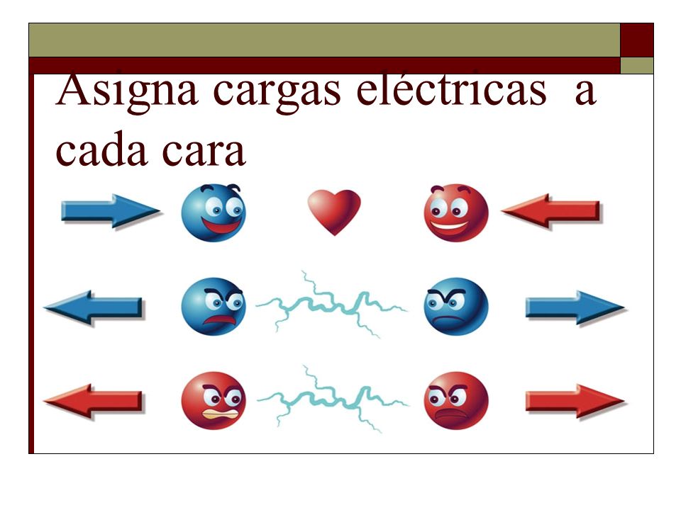 Asigna cargas eléctricas a cada cara
