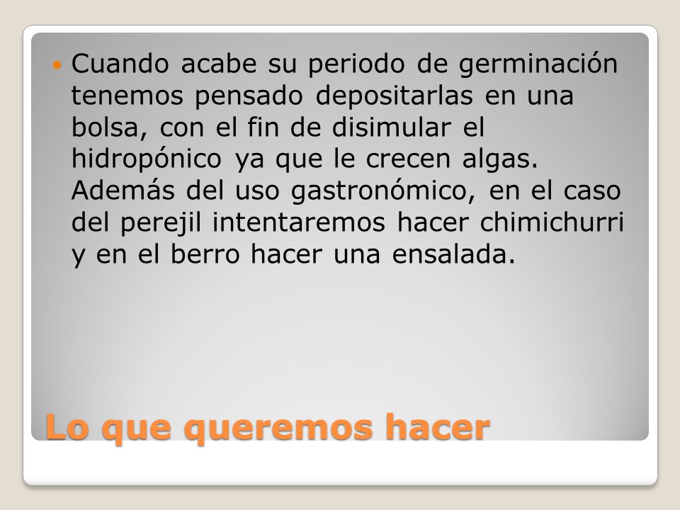 Cuando acabe su periodo de germinación tenemos pensado depositarlas en una bolsa, con el fin de disimular el hidropónico ya que le crecen algas. Además del uso gastronómico, en el caso del perejil intentaremos hacer chimichurri y en el berro hacer una ensalada.