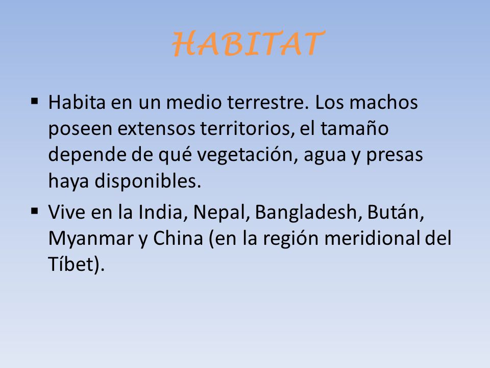 HABITAT Habita en un medio terrestre. Los machos poseen extensos territorios, el tamaño depende de qué vegetación, agua y presas haya disponibles.