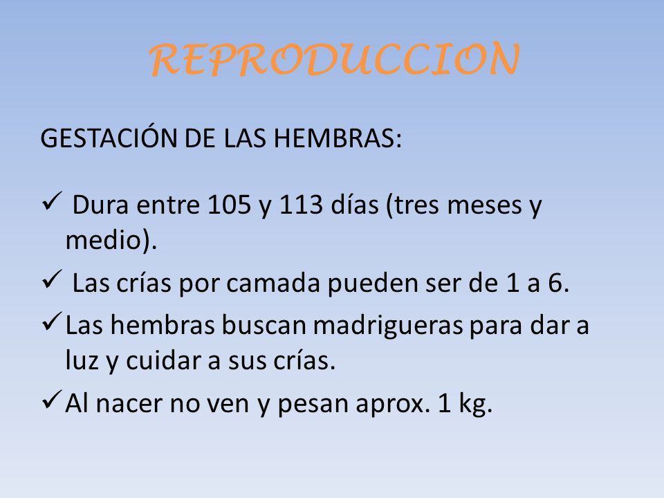 REPRODUCCION GESTACIÓN DE LAS HEMBRAS: