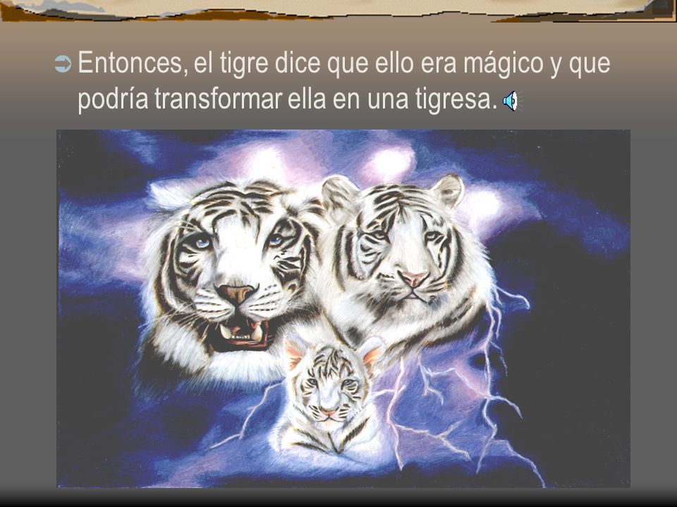 Entonces, el tigre dice que ello era mágico y que podría transformar ella en una tigresa.