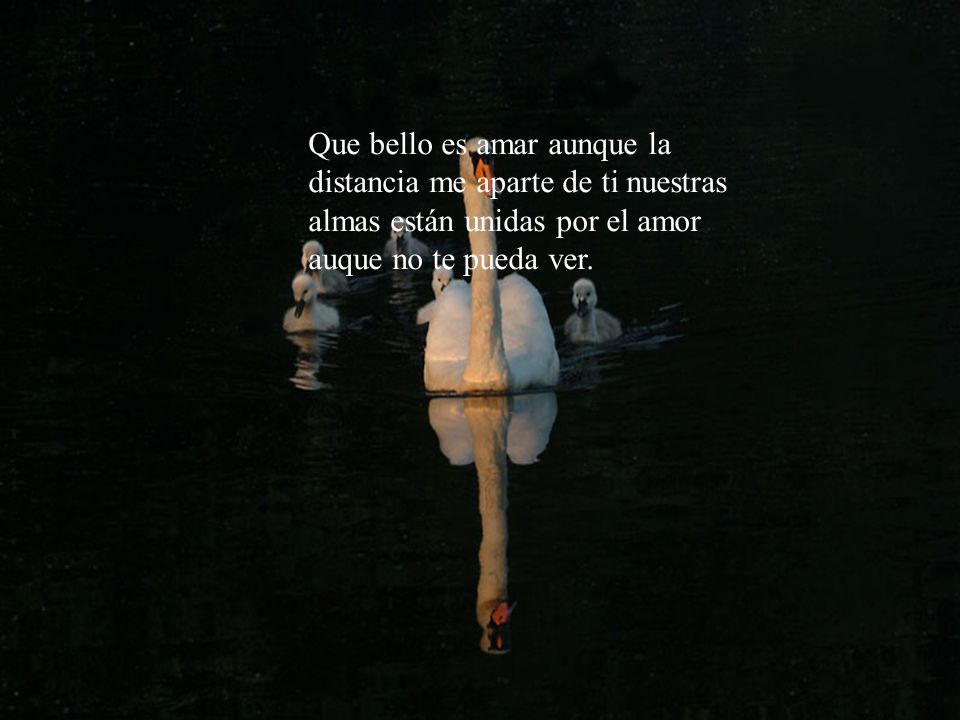 Que bello es amar aunque la distancia me aparte de ti nuestras almas están unidas por el amor auque no te pueda ver.
