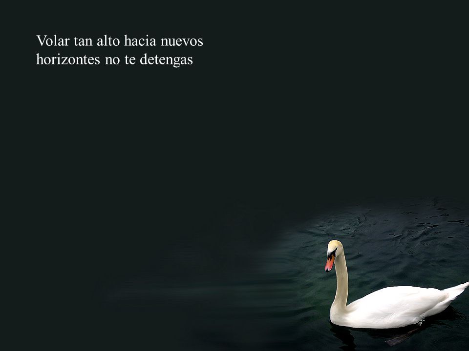 Volar tan alto hacia nuevos horizontes no te detengas
