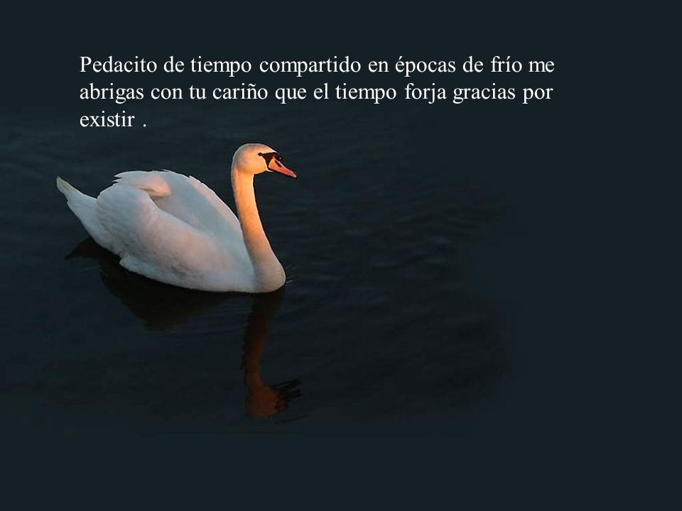 Pedacito de tiempo compartido en épocas de frío me abrigas con tu cariño que el tiempo forja gracias por existir .