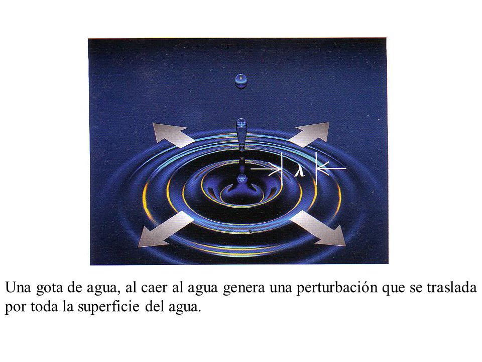 Una gota de agua, al caer al agua genera una perturbación que se traslada por toda la superficie del agua.