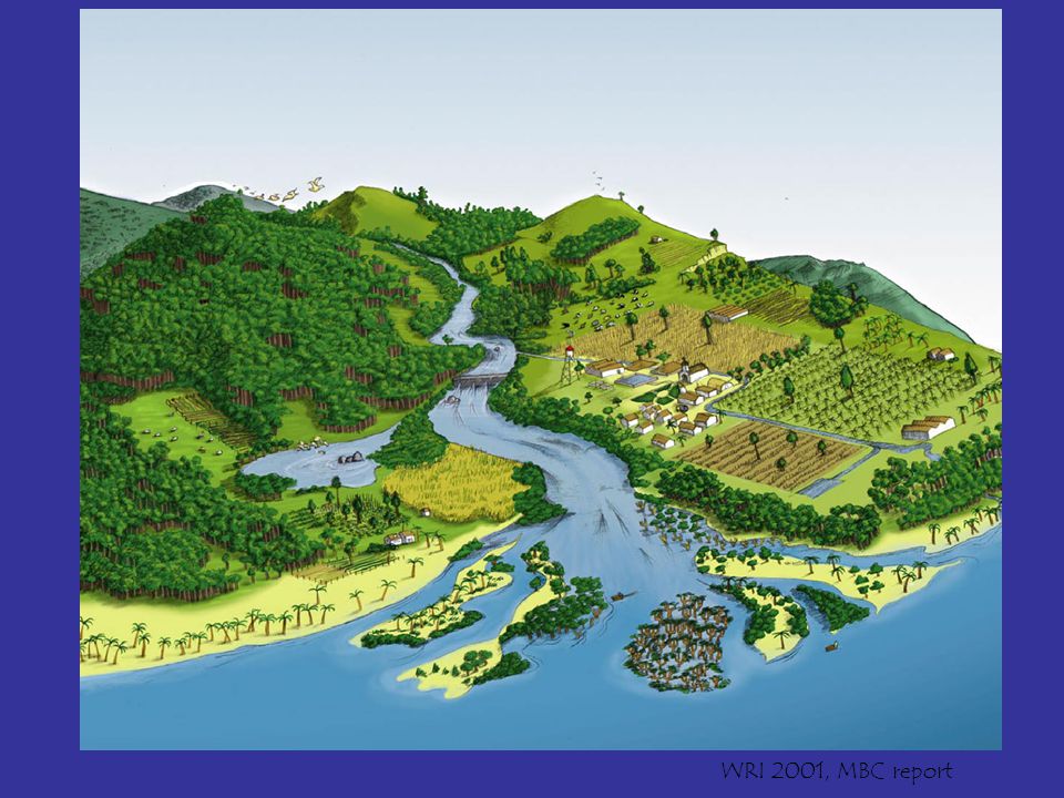 WRI 2001, MBC report