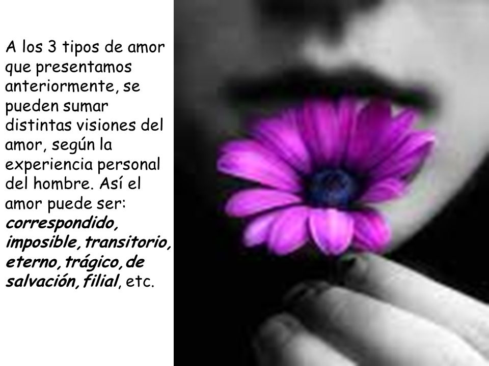 A los 3 tipos de amor que presentamos anteriormente, se pueden sumar distintas visiones del amor, según la experiencia personal del hombre.