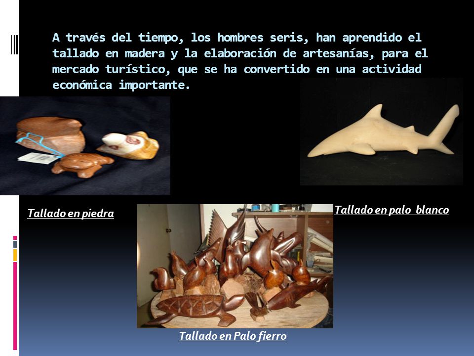A través del tiempo, los hombres seris, han aprendido el tallado en madera y la elaboración de artesanías, para el mercado turístico, que se ha convertido en una actividad económica importante.