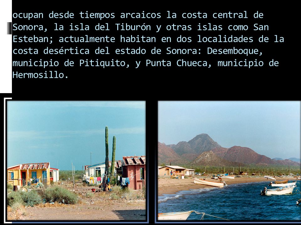 ocupan desde tiempos arcaicos la costa central de Sonora, la isla del Tiburón y otras islas como San Esteban; actualmente habitan en dos localidades de la costa desértica del estado de Sonora: Desemboque, municipio de Pitiquito, y Punta Chueca, municipio de Hermosillo.