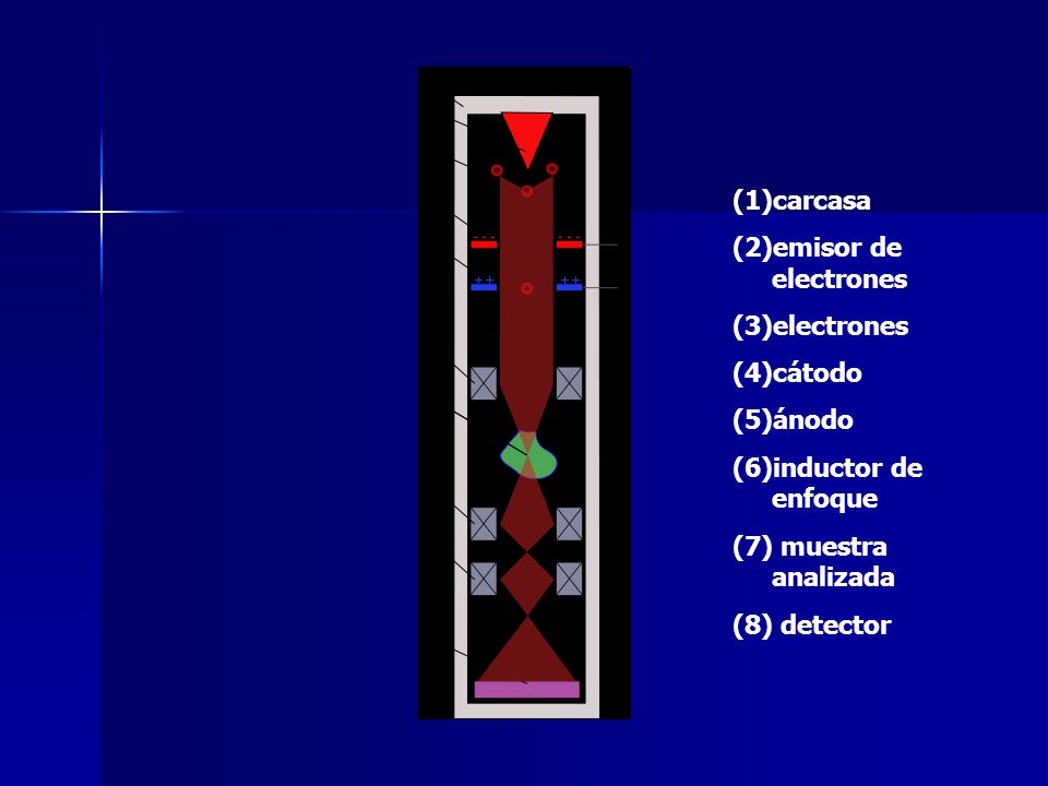 carcasa emisor de electrones. electrones. cátodo. ánodo. inductor de enfoque. (7) muestra analizada.