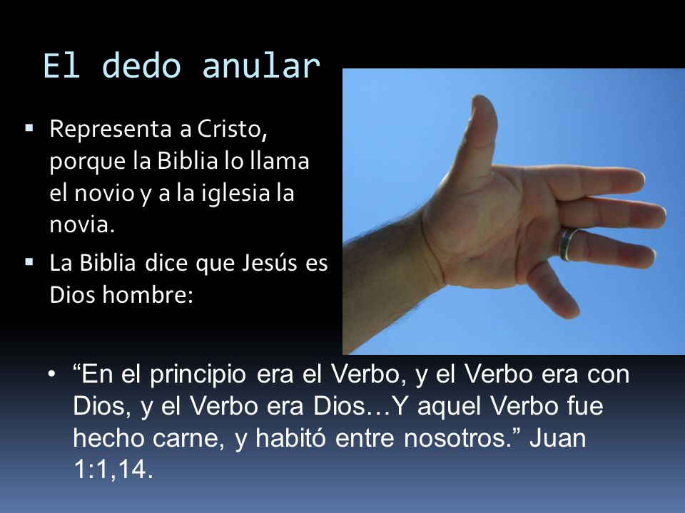 El dedo anular Representa a Cristo, porque la Biblia lo llama el novio y a la iglesia la novia. La Biblia dice que Jesús es Dios hombre:
