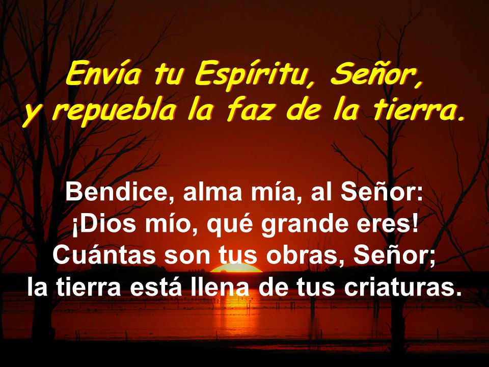 Envía tu Espíritu, Señor, y repuebla la faz de la tierra.
