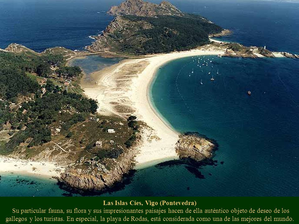 Las Islas Cíes, Vigo (Pontevedra) Su particular fauna, su flora y sus impresionantes paisajes hacen de ella auténtico objeto de deseo de los gallegos y los turistas.