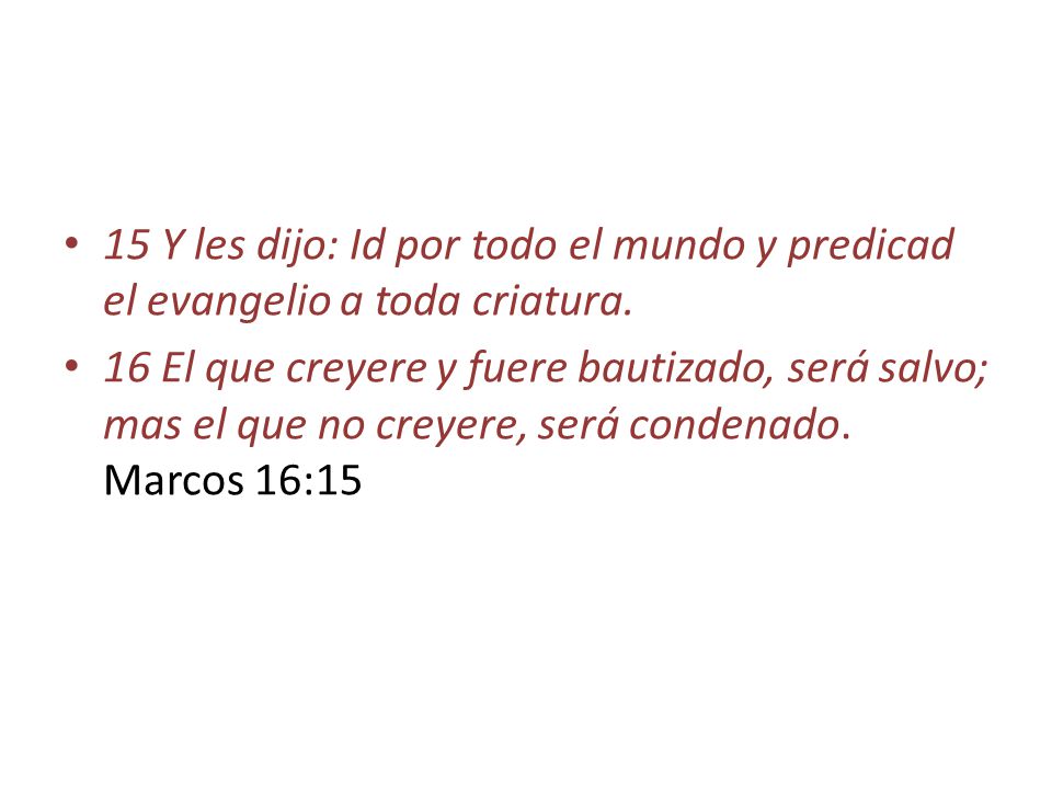 15 Y les dijo: Id por todo el mundo y predicad el evangelio a toda criatura.