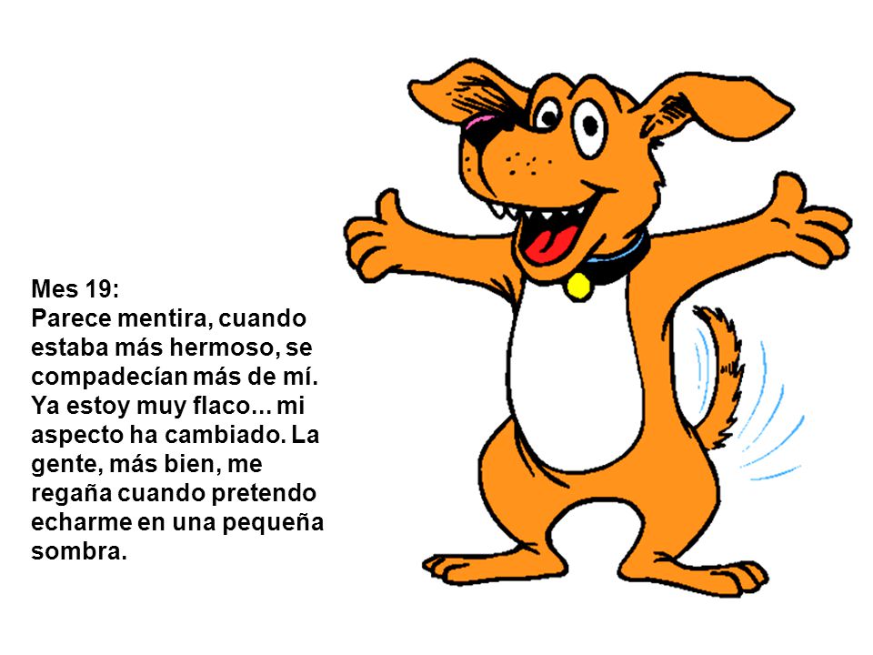 Mes 19: Parece mentira, cuando estaba más hermoso, se compadecían más de mí.