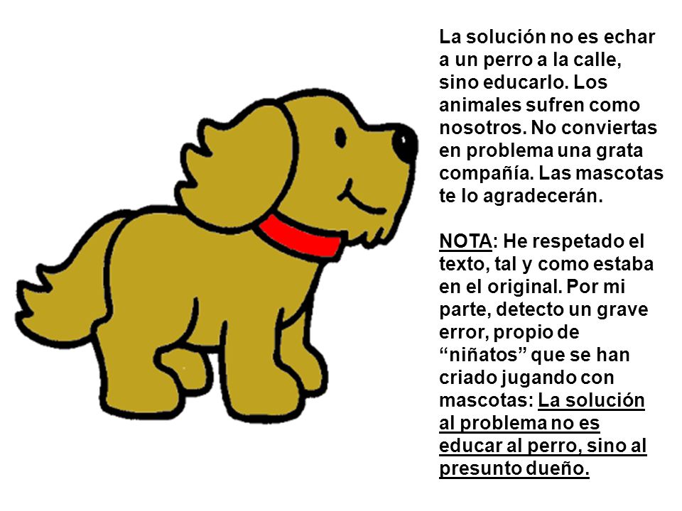 La solución no es echar a un perro a la calle, sino educarlo