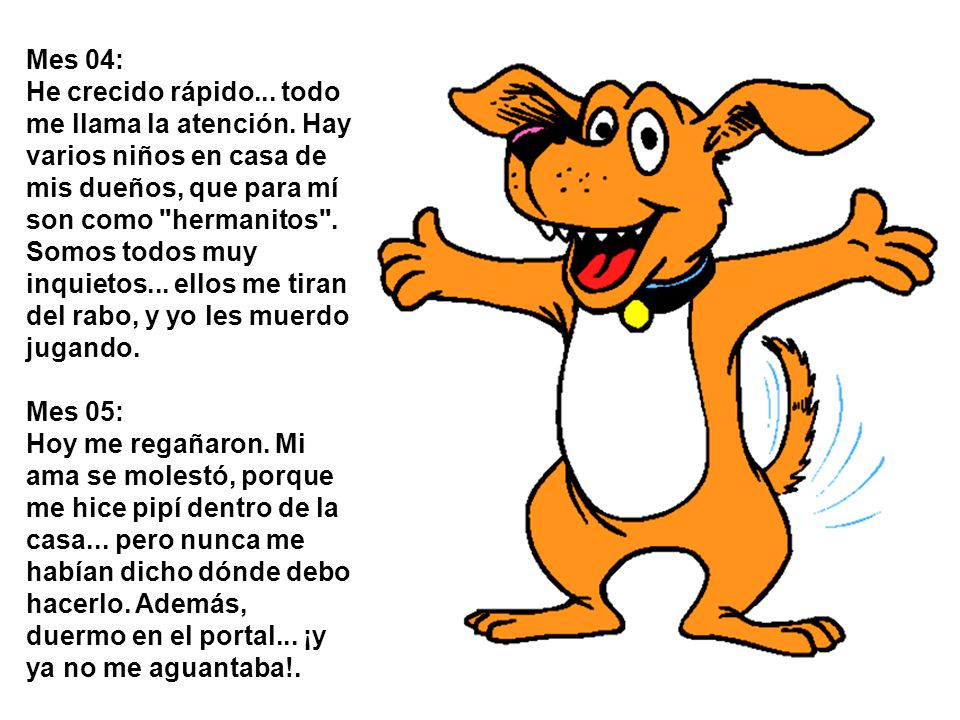 Mes 04: He crecido rápido. todo me llama la atención