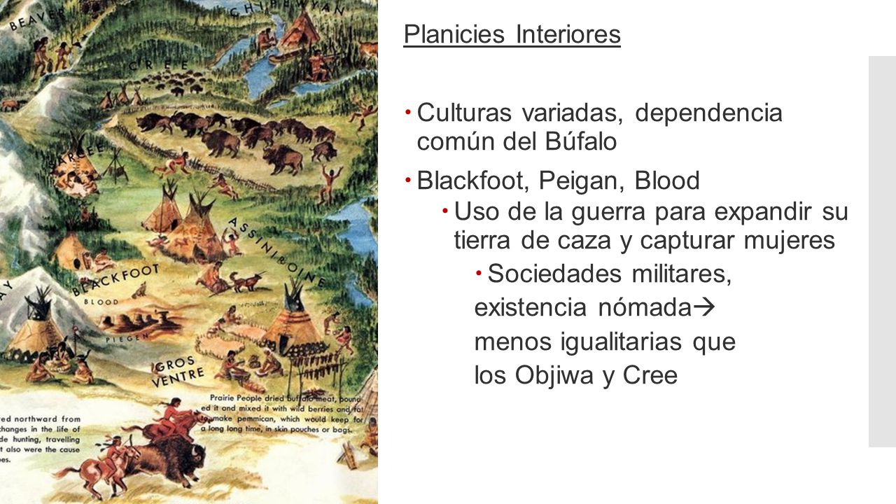 Planicies Interiores Culturas variadas, dependencia común del Búfalo. Blackfoot, Peigan, Blood.