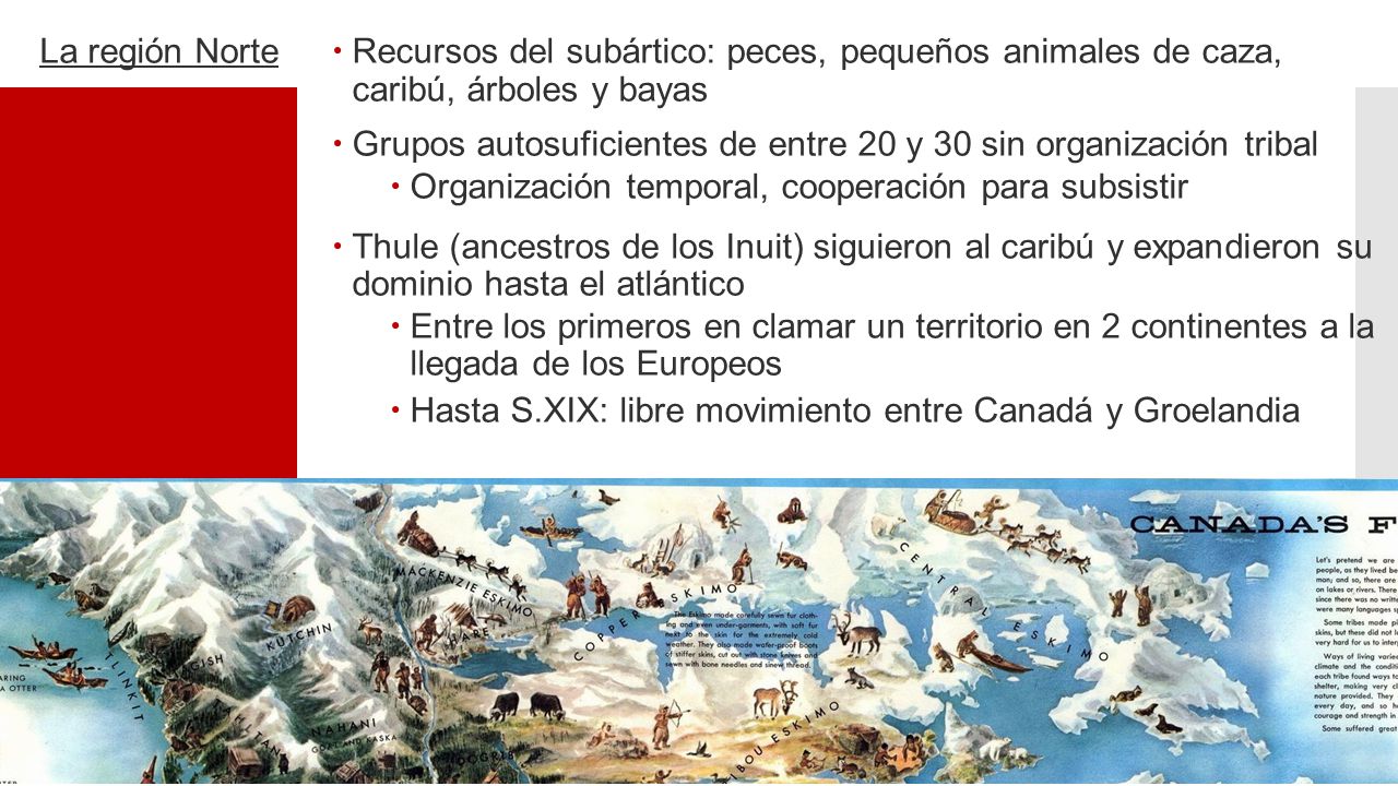 La región Norte Recursos del subártico: peces, pequeños animales de caza, caribú, árboles y bayas.