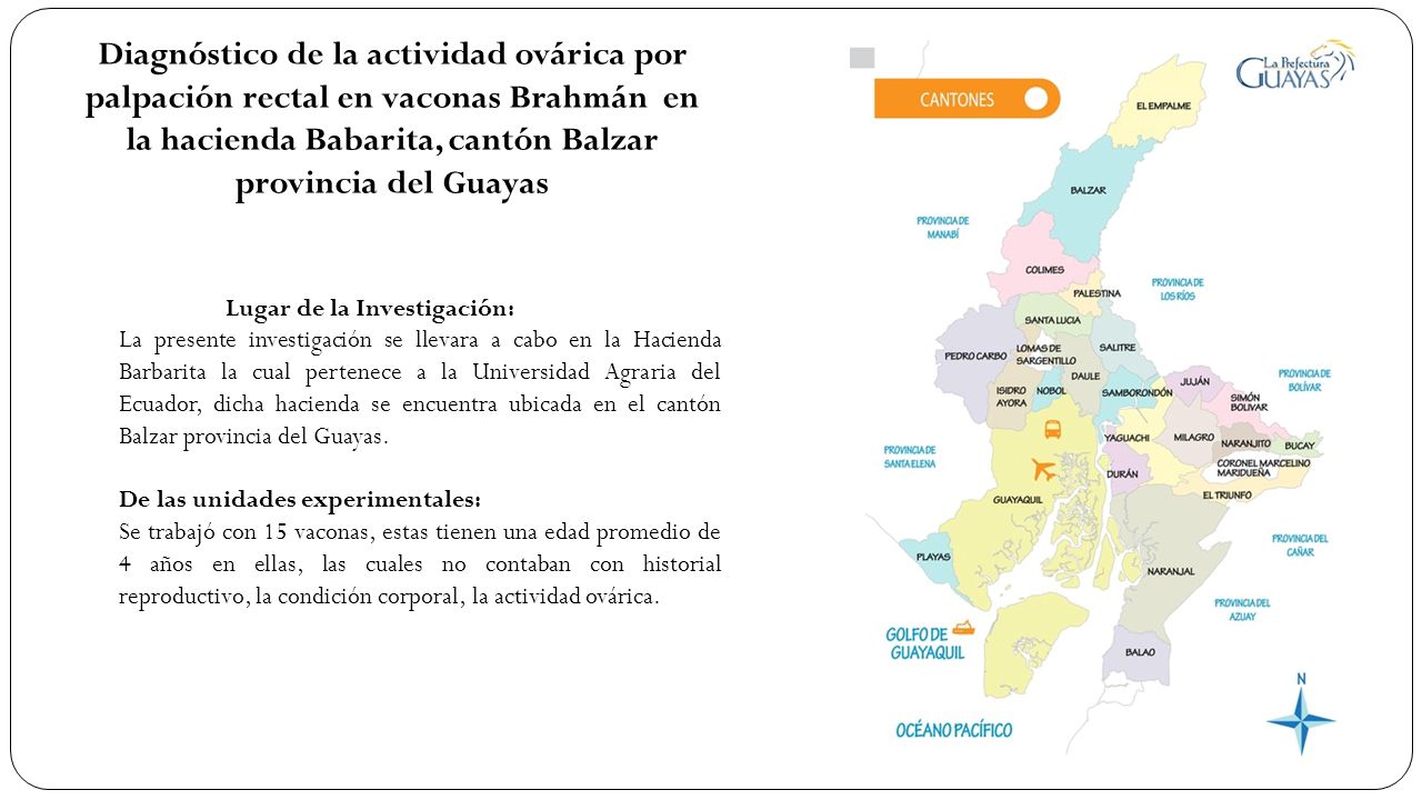 Diagnóstico de la actividad ovárica por palpación rectal en vaconas Brahmán en la hacienda Babarita, cantón Balzar provincia del Guayas