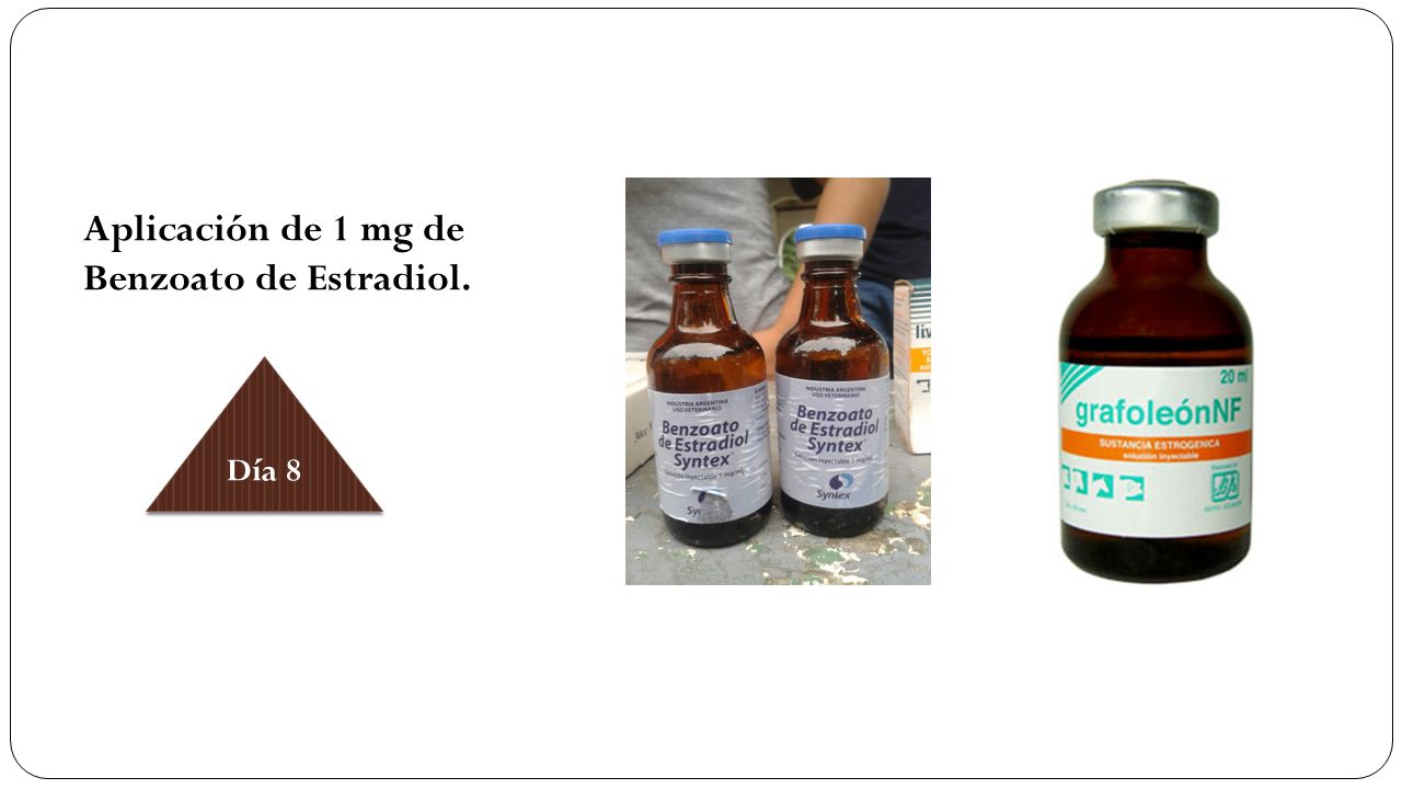 Aplicación de 1 mg de Benzoato de Estradiol.