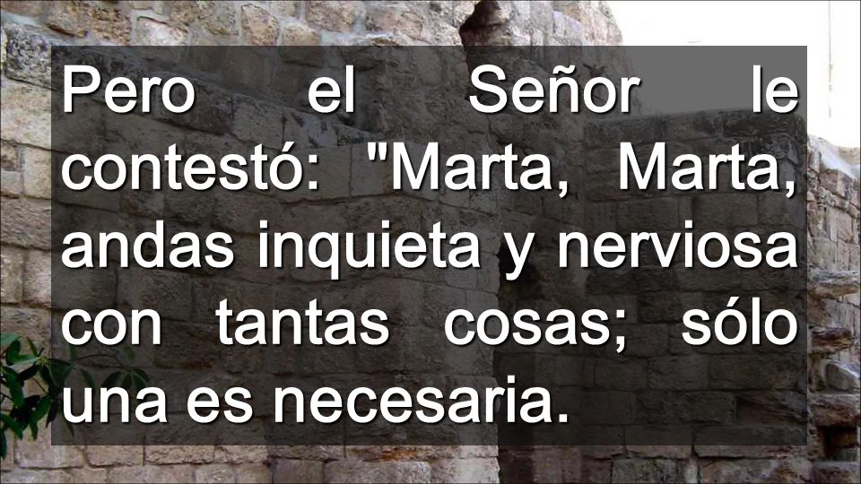 Pero el Señor le contestó: Marta, Marta, andas inquieta y nerviosa con tantas cosas; sólo una es necesaria.