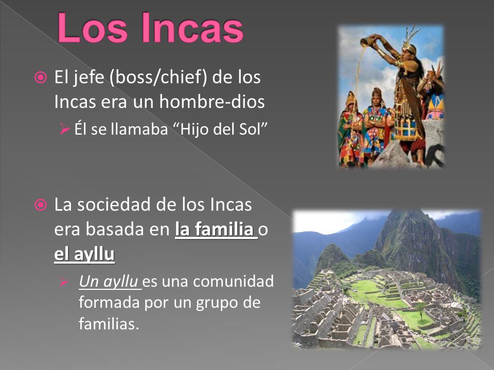 Los Incas El jefe (boss/chief) de los Incas era un hombre-dios