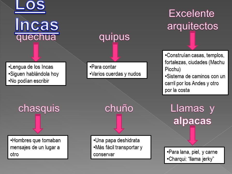 Los Incas Excelente arquitectos quechua quipus chasquis chuño Llamas y