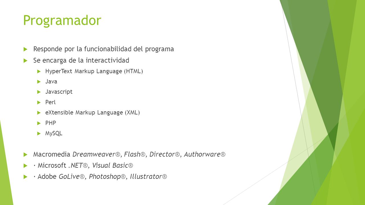 Programador Responde por la funcionabilidad del programa