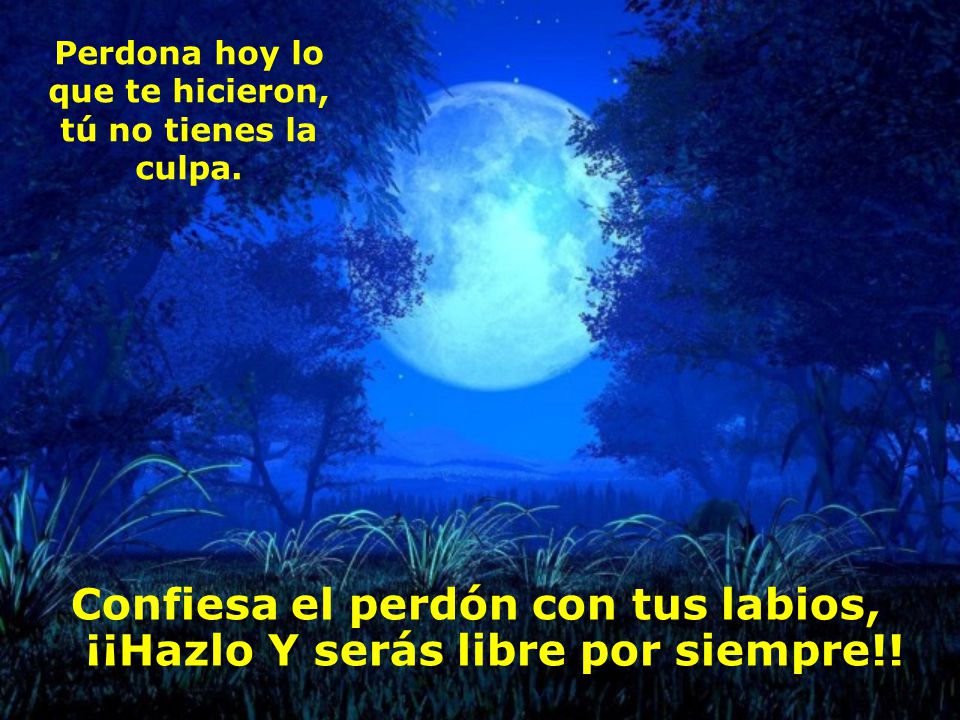 Confiesa el perdón con tus labios, ¡¡Hazlo Y serás libre por siempre!!