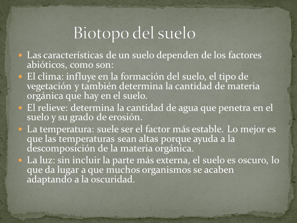 Biotopo del suelo Las características de un suelo dependen de los factores abióticos, como son: