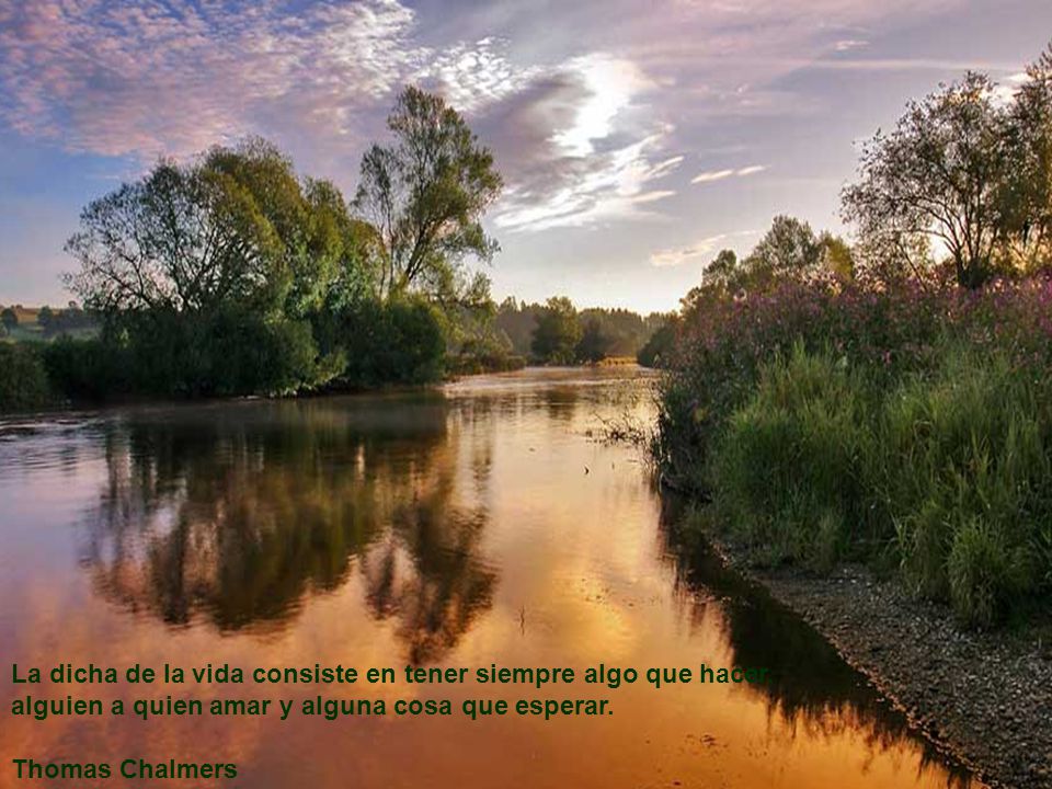 La dicha de la vida consiste en tener siempre algo que hacer, alguien a quien amar y alguna cosa que esperar.