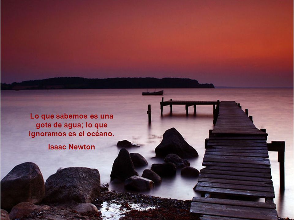 Lo que sabemos es una gota de agua; lo que ignoramos es el océano.