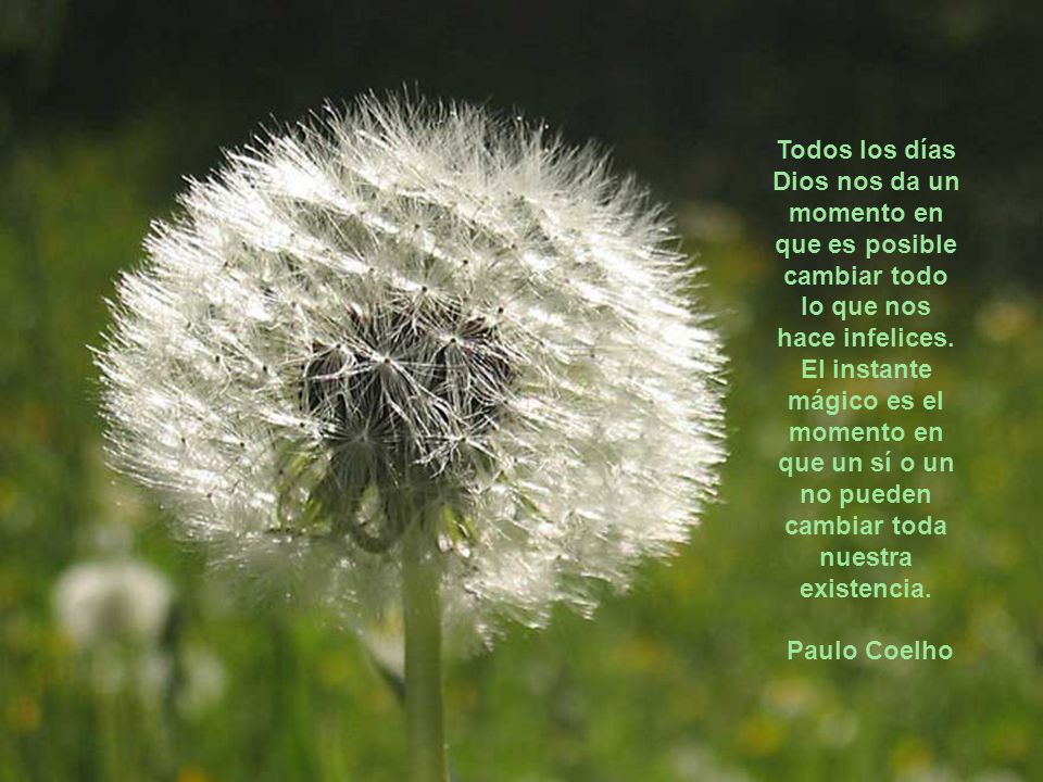 Todos los días Dios nos da un momento en que es posible cambiar todo lo que nos hace infelices. El instante mágico es el momento en que un sí o un no pueden cambiar toda nuestra existencia.