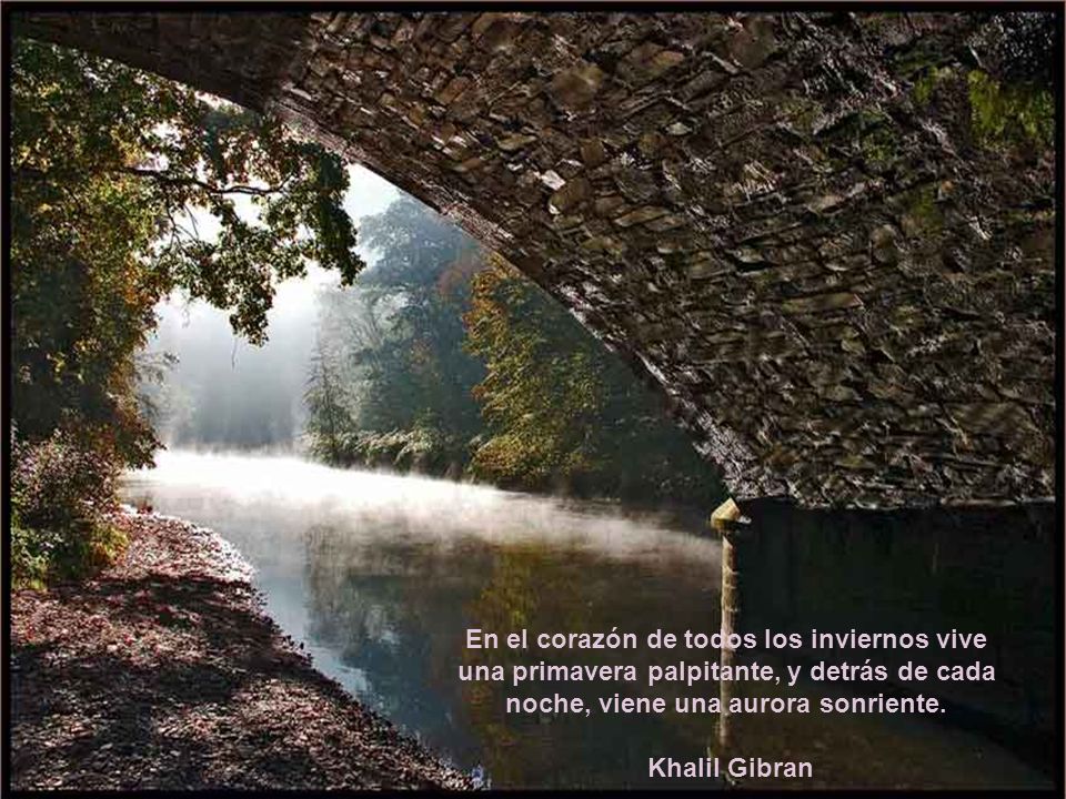 En el corazón de todos los inviernos vive una primavera palpitante, y detrás de cada noche, viene una aurora sonriente.