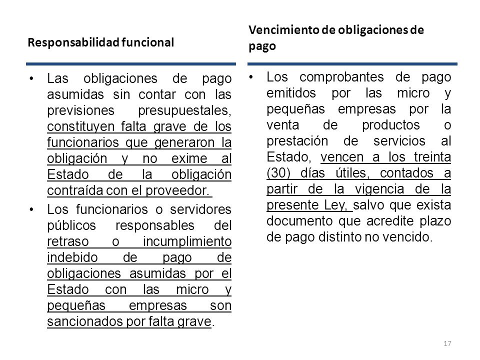 Responsabilidad funcional