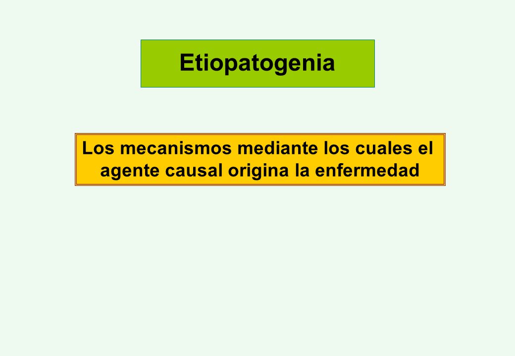 Etiopatogenia Los mecanismos mediante los cuales el agente causal origina la enfermedad