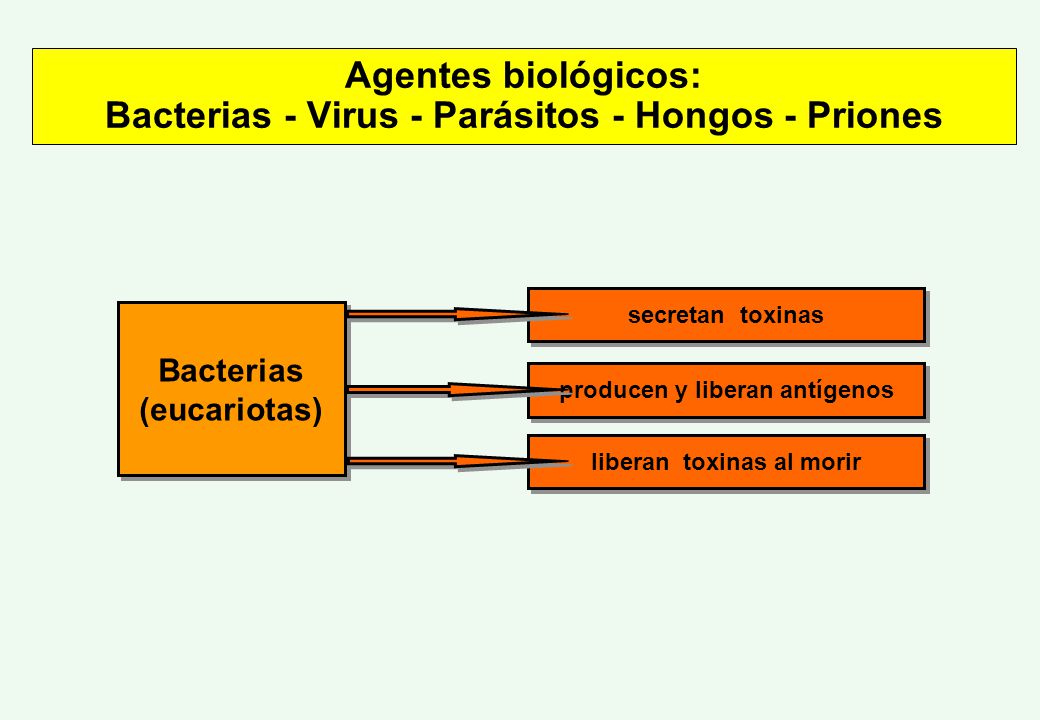 Agentes biológicos: Bacterias - Virus - Parásitos - Hongos - Priones