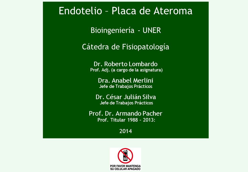 Endotelio – Placa de Ateroma Bioingeniería - UNER Cátedra de Fisiopatología Dr.